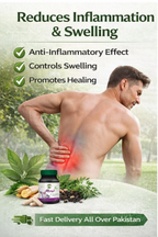 Tan Sukh Capsules — Advanced Herbal Pain Relief